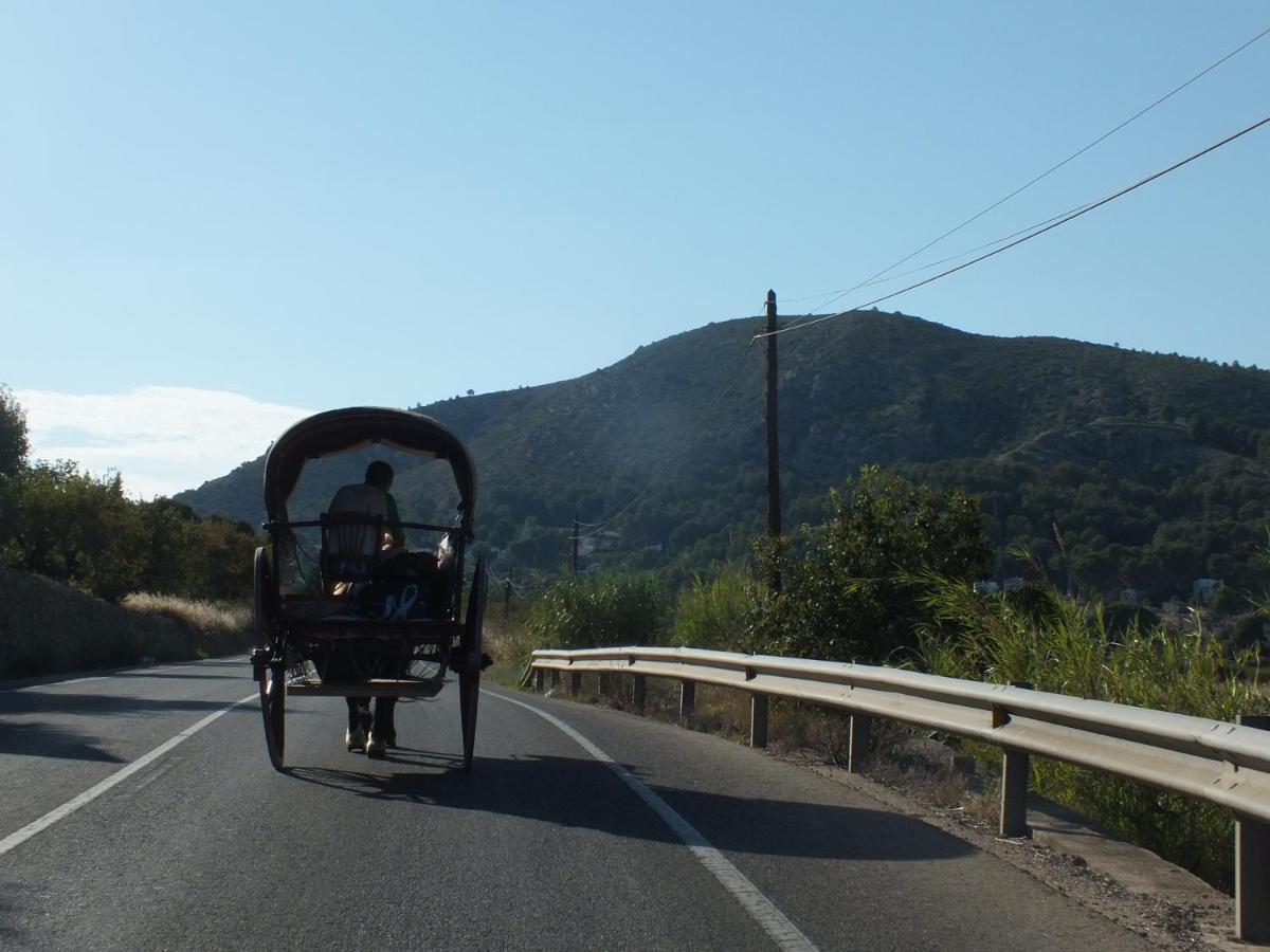 Buena Idea - Adults Only Bed and Breakfast Jalón Εξωτερικό φωτογραφία